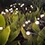 cheap LED Solar Lights-1/2pcs Solar Garden Lights Outdoor Firefly Starburst Swaying Lights Warm White Color Changing RGB Light for Yard Patio Pathway Decoration Swaying When Wind Blows