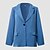 cheap Women&#039;s Blazer&amp;Suits-Women&#039;s Blazer Single Breasted Lapel Blazer Fall Classic Pink Formal Office Jacket Winter Business Long Sleeve Coat Spring Wedding Party Jacket Oversized