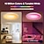 cheap Dimmable Ceiling Lights-RGBCW Full Color Intelligent Dimming and Color Matching Bedroom Ceiling Lamp 24W WiFi Graffiti APP Bluetooth Voice Ceiling Lamp Can be Timed 2.4G Be Grouped Compatible with Alexa Google Home