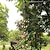 Χαμηλού Κόστους Ονειροπαγίδα-μεταλλικό ρετρό κόκκινο μπρονζέ άνεμο κουδούνισμα άγγελος πεταλούδα χειροποίητο δώρο ονειροπαγίδα στολίδι κρεμαστό τοίχο υπαίθριας αυλής κήπου κρεμαστό ντεκόρ