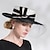 זול כובע מסיבות-אלגנטית רטרו פּוֹלִיאֶסטֶר כובעים עם אבנטים / סרטים / קצוות / טול 1 pc מסיבה\אירוע ערב / חגים / גביע מלבורן כיסוי ראש