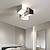 baratos Luzes de teto e ventiladores-Luzes de teto de design único de 30 cm acabamentos pintados em metal moderno 220-240 v