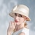 voordelige Feesthoeden-leuke Style Elegant Polyesteri / Vezel hoed / Strohoeden met Strik / Gestrikt lint 1 stuk Casual / Teaparty / Melbourne Cup Helm