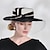 זול כובע מסיבות-אלגנטית רטרו פּוֹלִיאֶסטֶר כובעים עם אבנטים / סרטים / קצוות / טול 1 pc מסיבה\אירוע ערב / חגים / גביע מלבורן כיסוי ראש