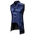 cheap Men&#039;s Vest-Men&#039;s Casual Jacket Vest Gilet Wedding Street Daily Holiday Streetwear Casual Winter Pocket Retro Polyester Windproof Warm Solid Color Single Breasted Turndown Regular Fit Black Red Navy Blue Vest