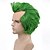billige Festparykker-Menn Kvinner Kort Rett Grønn Paryk Skallet Hode Karneval Cosplay Kostyme Anime Paryk St. Patricks Dags Parykker