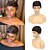 cheap Synthetic Trendy Wigs-Synthetic Wig Celebrity Curly Pixie Cut Machine Made Wig Short A1 A2 A3 A4 A5 Synthetic Hair Women&#039;s Cosplay Party Fashion Blonde Black Brown / Daily Wear / Party / Evening