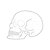 abordables Halloween Cocina-Calavera de plástico galleta abrasiva blanca herramienta para hornear diy dibujos animados calavera biscuitmold