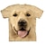 preiswerte 3D-T-Shirts für Jungen-Jungen 3D Tier Hund T-Shirt Kurzarm 3D-Druck Sommer Frühling Aktiv Sport Modisch Polyester kinderkleidung 3-12 Jahre Outdoor Täglich Regular Fit