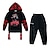 cheap Sets-Kids Unisex Hoodie &amp; Pants Clothing Set 2 Pieces Long Sleeve Black Letter Street Vacation Fashion Street Style 3-13 Years