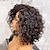 Χαμηλού Κόστους Περούκες από Ανθρώπινη Τρίχα με Δαντέλα Μπροστά-Remy Ανθρώπινα μαλλιά 4x13 Κλείσιμο Περούκα Σύντομο βαρίδι Πλευρικό μέρος Βραζιλιάνικη Χαλαρό Κυματιστό Μαύρο Περούκα 130% 150% Πυκνότητα μαλλιών με τα μαλλιά μωρών Ομαλό 100 / Καθημερινά Ρούχα