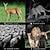 olcso Kamerák és fotós kiegészítők-pr300 vadászat követő kamera 0,8 másodperces kioldási idő 120 fokos fotócsapda éjjellátó állatfelderítő kamera