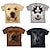 voordelige jongens 3d t-shirts-Jongens 3D dier Hond T-shirt Korte mouw 3D-afdrukken Zomer Lente Actief Sport Modieus Polyester Kinderen 3-12 jaar Buiten Dagelijks Normale pasvorm