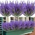 halpa Tekokasvit-1/6/12 kpl keinotekoista laventelia ulkona UV-kestäviä kukkia muovisia tekokukkia, tekokukkia tekokasveja ulkoikkunalaatikkoon ripustettava istutuskone kotikuistin kesäsisustus (violetti)