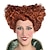 baratos Peruca para Fantasia-Hocus pocus winifred sanderson peruca pacote pela rainha do castelo bruxa perucas rainha perucas cosplay festa perucas