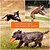 abordables Jouets pour chiens-Frisbee pour chien flottant bordure en laine dorée dressage d&#039;animaux pratique pour chien jouet pour animaux de compagnie frisbee en caoutchouc souple résistant aux morsures (15 cm rose)