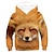 cheap Boy&#039;s 3D Hoodies&amp;Sweatshirts-Kids Boys&#039; Hoodie Long Sleeve Rainbow 3D Print Fox Animal Daily Active Streetwear Cute 3-12 Years / Fall / Spring