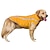 Χαμηλού Κόστους Ρούχα για σκύλους-αδιάβροχο παλτό σκύλου χειμωνιάτικο ζεστό μπουφάν με τρύπα για λουράκι υπαίθριο αθλητικό αδιάβροχο γιλέκο ρούχων σκύλου για μικρά μεσαία σκυλιά, κίτρινο, xl