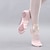 ieftine Pantofi de Balet-Pentru femei Pantofi de Balet Pantofi de Dans Performanță Scenă Interior Josi Toc Drept Dantelat Bandă elastică Roz Îmbujorat Șampaniu / Satin / Fete / Antrenament