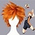 cheap Costume Wigs-Hinata Shoyo Wigs Luca Curly Short Dark Brown Cosplay Wigs Heat Resistant Synthetic Hair Wig