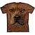 voordelige jongens 3d t-shirts-Jongens 3D dier Hond T-shirt Korte mouw 3D-afdrukken Zomer Lente Actief Sport Modieus Polyester Kinderen 3-12 jaar Buiten Dagelijks Normale pasvorm