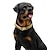 お買い得  犬用首輪＆ハーネス＆リード-14 ミリメートル新ペット犬の首輪ステンレス鋼キューバチェーン犬のチェーン犬の首輪ロックゴールドシルバー犬のチェーン