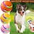 billige Kattelegetøj-interaktiv hundelegetøj wicked ball fjernbetjening til indendørs katte hunde med bevægelsesaktiveret usb genopladelig
