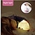billige Dekor- og nattlys-star projeksjonslampe barneprojektor usb oppladbar lucky fish 360 rotere skrivebordslamper timing nattlys for barn baby soverom dekorasjon