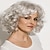 halpa Synteettiset trendikkäät peruukit-harmaat kiharat lyhyet peruukit valkoisille naisille hopea valkoinen sekoitettu ruskea aaltoileva bob-peruukki otsatukkalla synteettiset hiustenvaihtoperuukit joulujuhlaperuukit