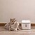 voordelige huishoudelijke apparaten-xiaomi mijia hond kat huisdier water dispenser smart kitten puppy elektrische drinkbak fontein werken met mi home app