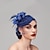 cheap Fascinators-Feathers Net Pillbox Fascinators Hats Headwear with Feather Cap Flower 1 PC Wedding Horse Race Ladies Day Headpiece