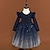 billiga Festklänningar-barn flickor paljett galax tyllklänning fest födelsedag dagligen marinblå tyll knälång långärmad prinsessa söta klänningar 4-13 år