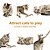 voordelige Kattenspeeltjes-3 pak silvervine sticks kat speelgoed voor binnenkatten interactieve silvervine voor katten kattenkruid speelgoed voor binnenkatten kauwspeelgoed voor kat tanden schoonmaken kitten tandjes
