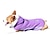 tanie Ubrania dla psów-Zdejmowane czapki ubrania dla zwierząt jesienne i zimowe ubrania dla psów ubrania dla psów pogrubione ubrania dla psów wyściełane bawełną