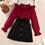 preiswerte Sets-2 Stück kinderkleidung Mädchen Feste Farbe Rock Hemd einstellen Langarm Aktiv Outdoor 7-13 Jahre Winter Rote