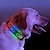 cheap Novelties-2023 New Bluetooth Programmable LED Pet Dog Cat Collar Flashing Luminous Adjustable Name Sign Anti-Lost Collar