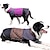 billiga Hundkläder-höst och vinter husdjurskläder vattentät förtjockad hundkappa jacka väst gränsöverskridande djur bomullsrock hundkläder