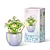 cheap Building Toys-Women&#039;s Day Gifts Building Blocks Toys，Assembly Diy Toy Building Blocks Potted Flowers Small Gifts Flower Room Diary Vital Chrysanthemum for Ages 14+ Mother&#039;s Day Gifts for MoM