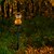 economico Illuminazione vialetto-outdoor solar animal garden light cute dog resin ip65 waterproof solar yard lights paesaggio percorso riflettore led palo lampada giardino di casa natale illuminazione 1x 2x