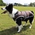 tanie Ubrania dla psów-klapa odzież dla psów dla psów jesienna i zimowa odzież dla psów odzież dla zwierząt pies bawełniany płaszcz kamizelka