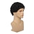 cheap Mens Wigs-Mens Short Brown Afro Curly Wig for Male Guy Rocker Wig California Halloween Cosplay Costume Full Wigs