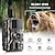 cheap Cameras &amp; Photo Accessories-DL001 Hunting Trail Camera 16MP 1080P Wildlife Scouting Camera with 12M Night Vision Motion Sensor IP66 Waterproof Trail Camera