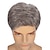 economico Parrucche uomo-parrucca corta da uomo parrucche di capelli cosplay sintetici naturali lisci grigi per parrucca piena di ricambio giornaliero per ragazzo maschio