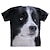 Χαμηλού Κόστους καινοτομία αστεία hoodies &amp; t-shirts-Ζώο Σκύλος Κοντομάνικο Κινούμενα σχέδια Μάνγκα Ζώο Στάμπα Γραφικό Για Για Ζευγάρια Ανδρικά Γυναικεία Ενηλίκων Μασκάρεμα 3D εκτύπωση Καθημερινά