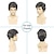 halpa Miesten peruukit-miesten peruukit lyhyet harmaat peruukit lämmönkestävät synteettiset kerrostetut luonnolliset hiukset cosplay-asu halloween peruukit miehille