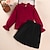 זול סטים-2 חלקים ילדים בנות צבע אחיד חולצה וחצאית הגדר שרוול ארוך פעיל בָּחוּץ 7-13 שנים חורף אודם