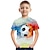 halpa poikien 3d t-paidat-Poikien 3D Väripalikka Jalkapallo T-paita Lyhythihainen 3D-tulostus Kesä Aktiivinen söpö tyyli Katutyyli Polyesteri Raion Lapset 3-12 vuotta Koulu ulko- Päivittäin