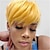 cheap Black &amp; African Wigs-Wig Short Hair Wigs For Black Women Short Pixie Cuts Wigs For Black Women Short Straight Black Ladies Wigs Synthetic Short Wigs For Black Women African American Women