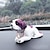 cheap Car Pendants &amp; Ornaments-Wakauto Bobblehead Dolls Shaking Head Dog Desktop Ornament Gift for Home Shop Car Dashboard Decor