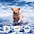 olcso Kutyakiképzés és viselkedésformálás-Kutya kiképzés Sokkgallér kutyáknak távvezérléssel Távvezérelt Kutya Három működési modell Kutyák Biztonság ABS + PC Kiképző segédeszközök Háziállatok számára